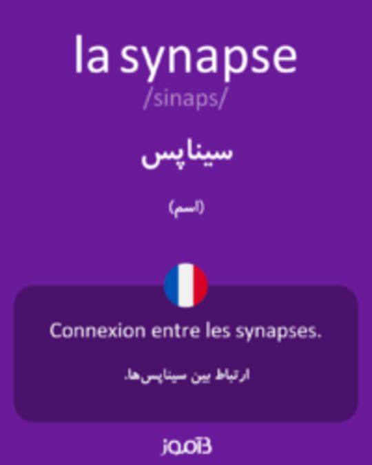  تصویر la synapse - دیکشنری انگلیسی بیاموز