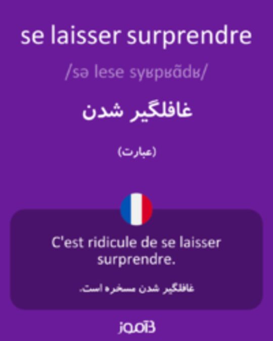  تصویر se laisser surprendre - دیکشنری انگلیسی بیاموز