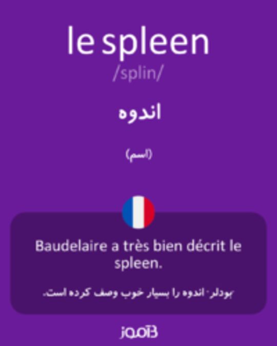  تصویر le spleen - دیکشنری انگلیسی بیاموز