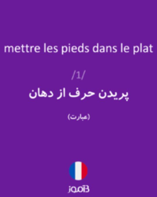  تصویر mettre les pieds dans le plat - دیکشنری انگلیسی بیاموز