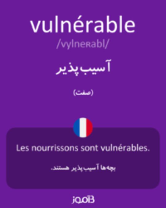  تصویر vulnérable - دیکشنری انگلیسی بیاموز