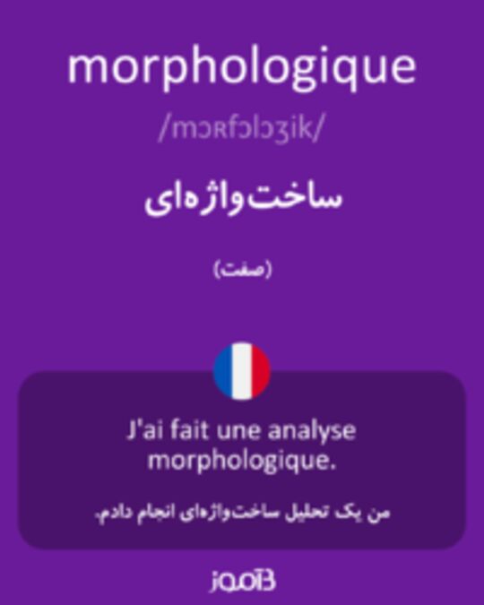  تصویر morphologique - دیکشنری انگلیسی بیاموز