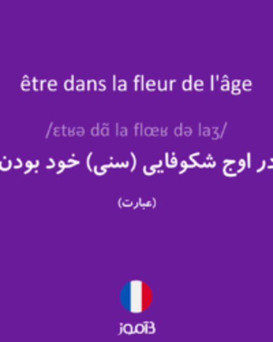  تصویر être dans la fleur de l'âge - دیکشنری انگلیسی بیاموز