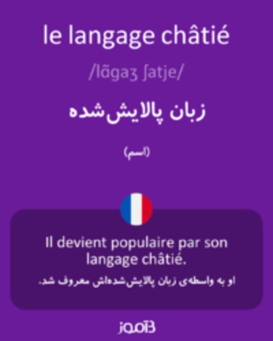  تصویر le langage châtié - دیکشنری انگلیسی بیاموز