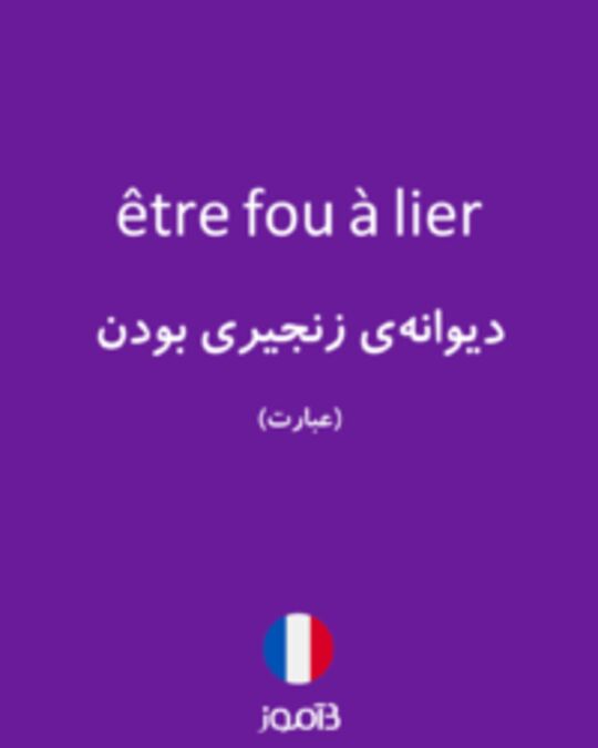  تصویر être fou à lier - دیکشنری انگلیسی بیاموز