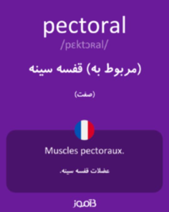  تصویر pectoral - دیکشنری انگلیسی بیاموز