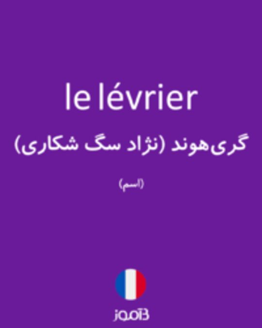  تصویر le lévrier - دیکشنری انگلیسی بیاموز