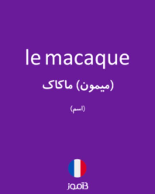  تصویر le macaque - دیکشنری انگلیسی بیاموز