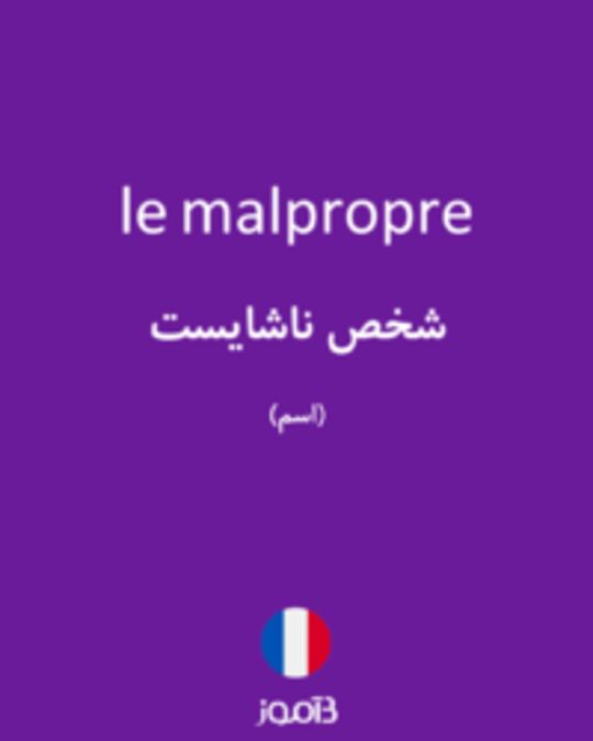  تصویر le malpropre - دیکشنری انگلیسی بیاموز