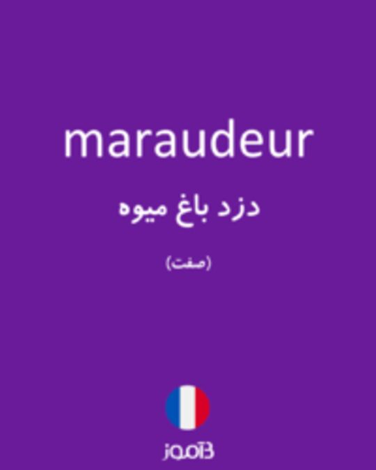  تصویر maraudeur - دیکشنری انگلیسی بیاموز