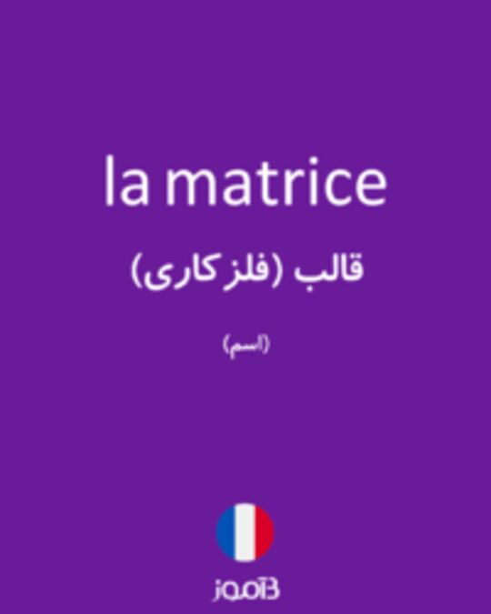  تصویر la matrice - دیکشنری انگلیسی بیاموز