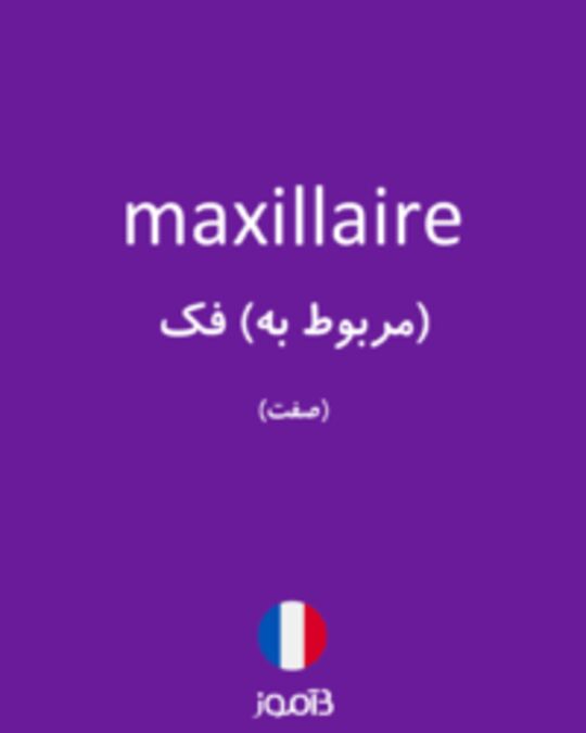  تصویر maxillaire - دیکشنری انگلیسی بیاموز