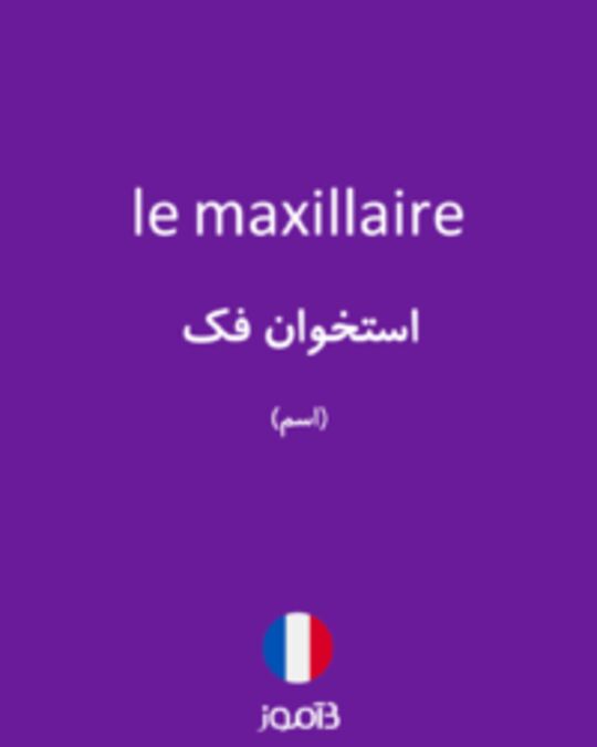  تصویر le maxillaire - دیکشنری انگلیسی بیاموز