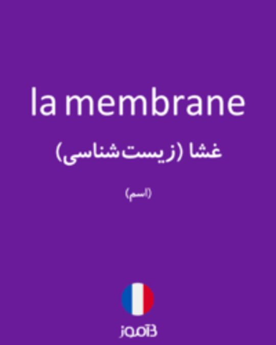  تصویر la membrane - دیکشنری انگلیسی بیاموز