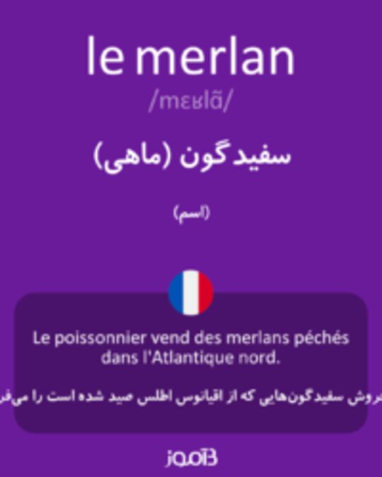  تصویر le merlan - دیکشنری انگلیسی بیاموز