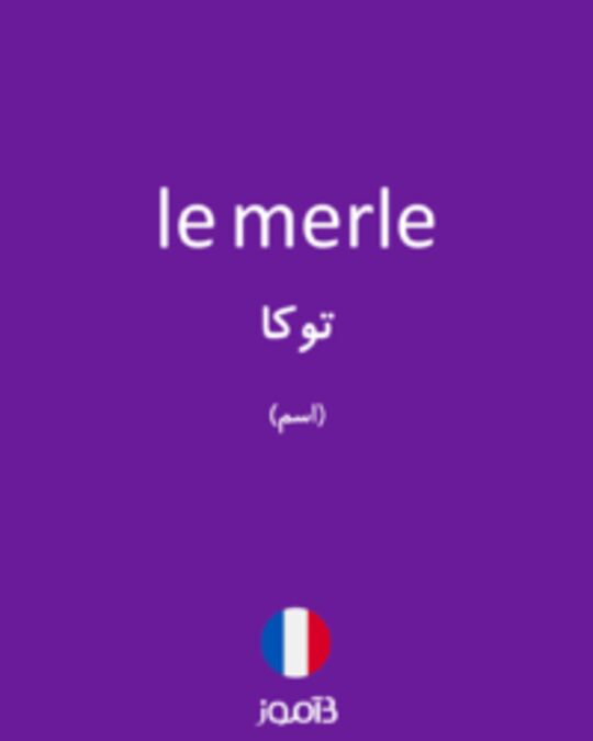  تصویر le merle - دیکشنری انگلیسی بیاموز