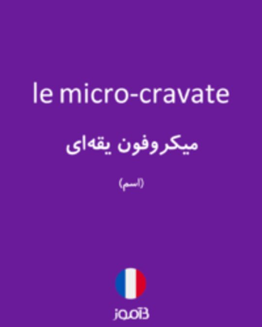  تصویر le micro-cravate - دیکشنری انگلیسی بیاموز