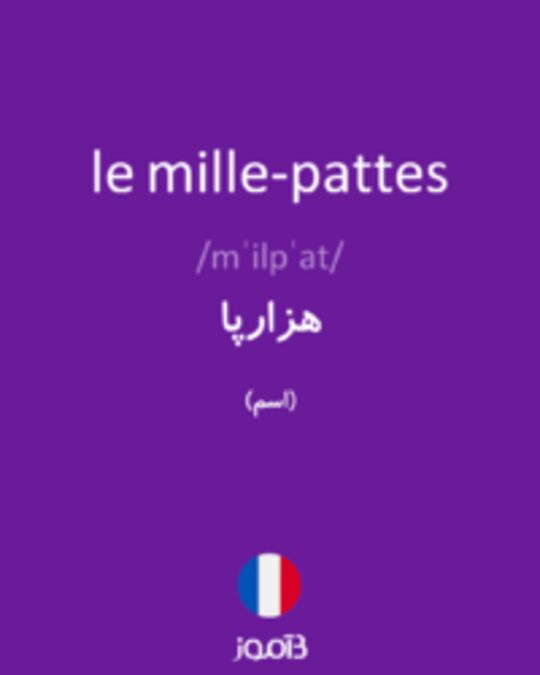  تصویر le mille-pattes - دیکشنری انگلیسی بیاموز