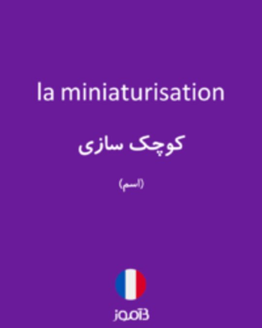  تصویر la miniaturisation - دیکشنری انگلیسی بیاموز