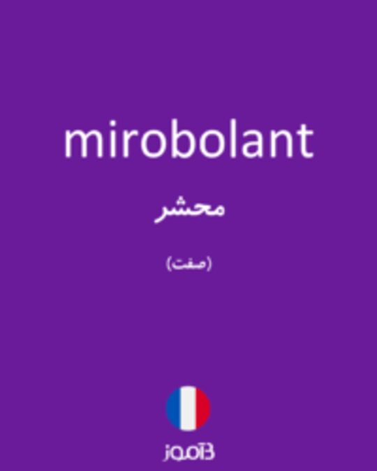  تصویر mirobolant - دیکشنری انگلیسی بیاموز