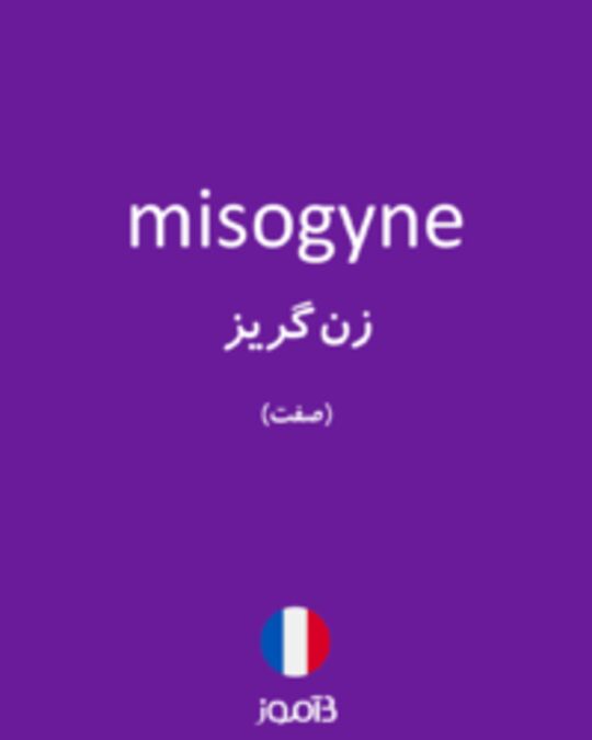  تصویر misogyne - دیکشنری انگلیسی بیاموز