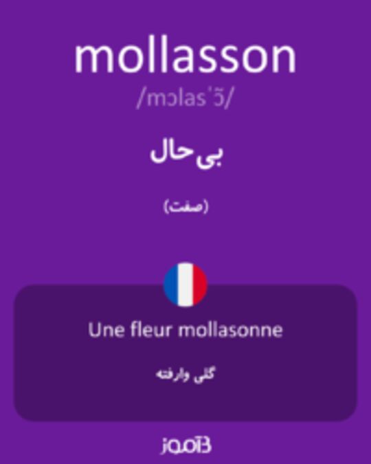  تصویر mollasson - دیکشنری انگلیسی بیاموز