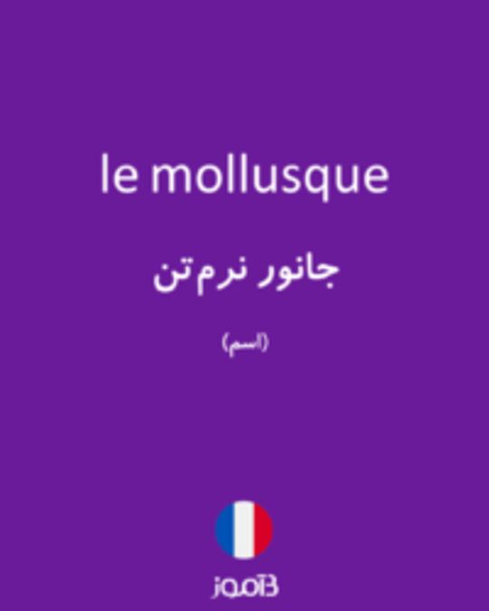  تصویر le mollusque - دیکشنری انگلیسی بیاموز