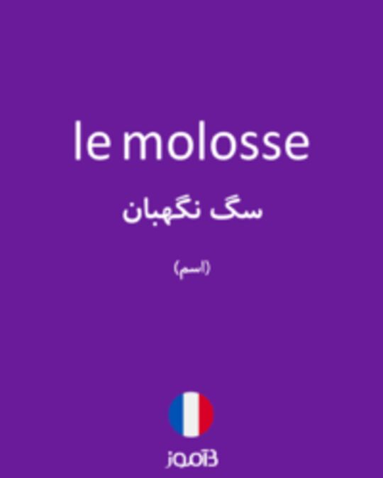  تصویر le molosse - دیکشنری انگلیسی بیاموز