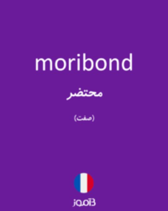  تصویر moribond - دیکشنری انگلیسی بیاموز