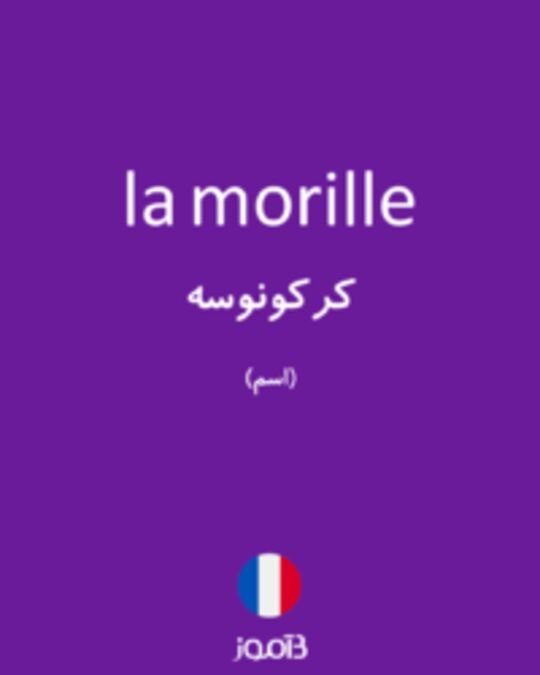  تصویر la morille - دیکشنری انگلیسی بیاموز