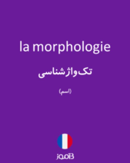  تصویر la morphologie - دیکشنری انگلیسی بیاموز