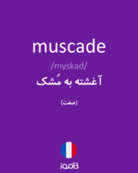  تصویر muscade - دیکشنری انگلیسی بیاموز