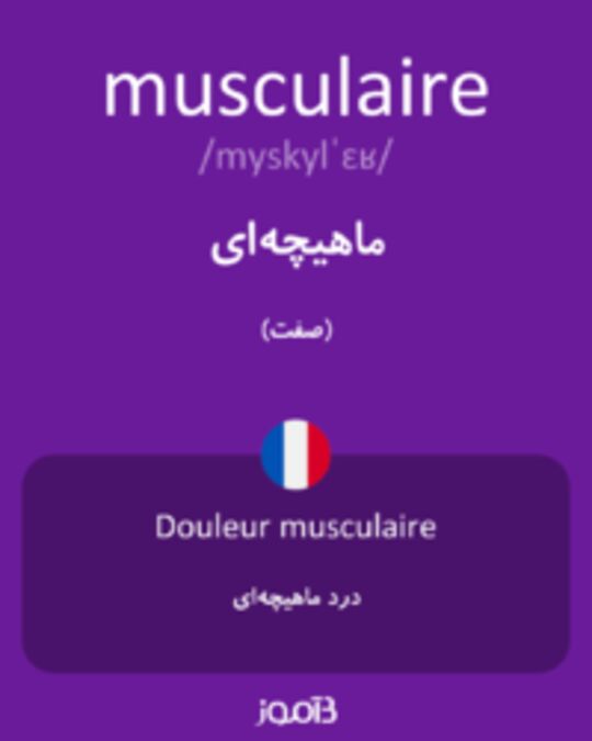  تصویر musculaire - دیکشنری انگلیسی بیاموز