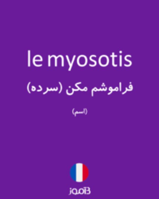  تصویر le myosotis - دیکشنری انگلیسی بیاموز