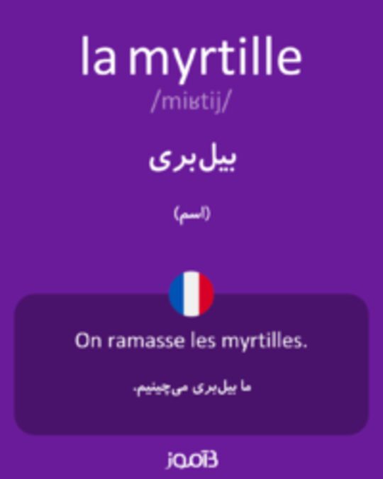  تصویر la myrtille - دیکشنری انگلیسی بیاموز