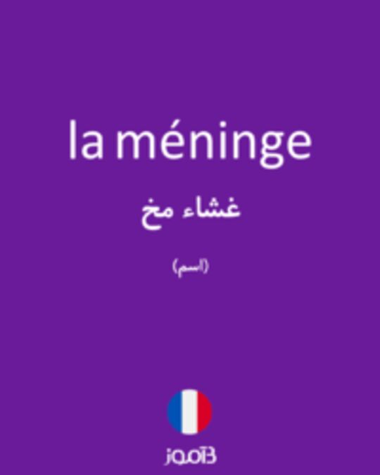  تصویر la méninge - دیکشنری انگلیسی بیاموز