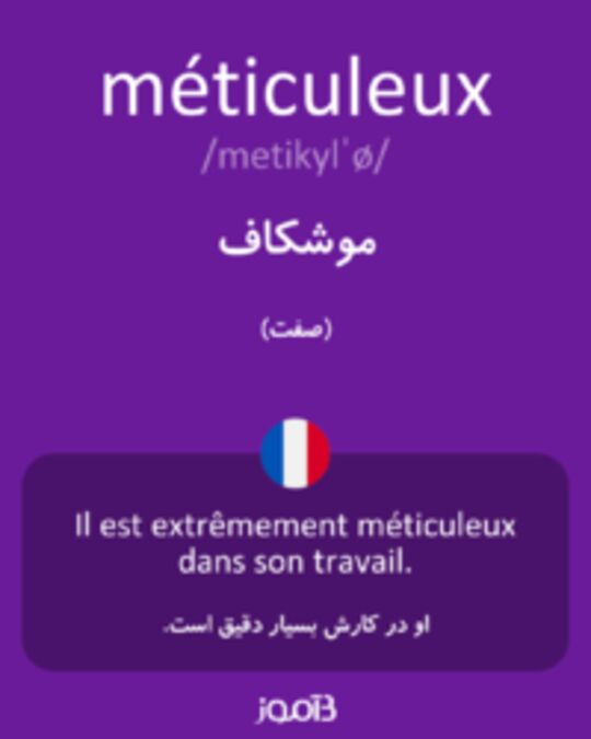  تصویر méticuleux - دیکشنری انگلیسی بیاموز