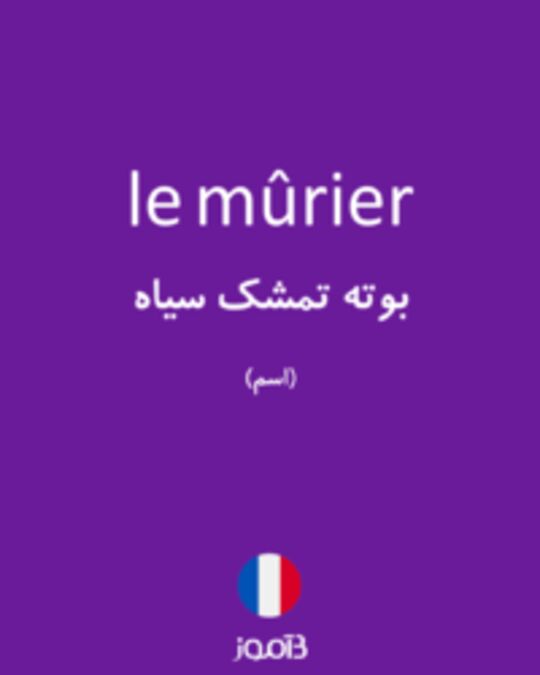  تصویر le mûrier - دیکشنری انگلیسی بیاموز