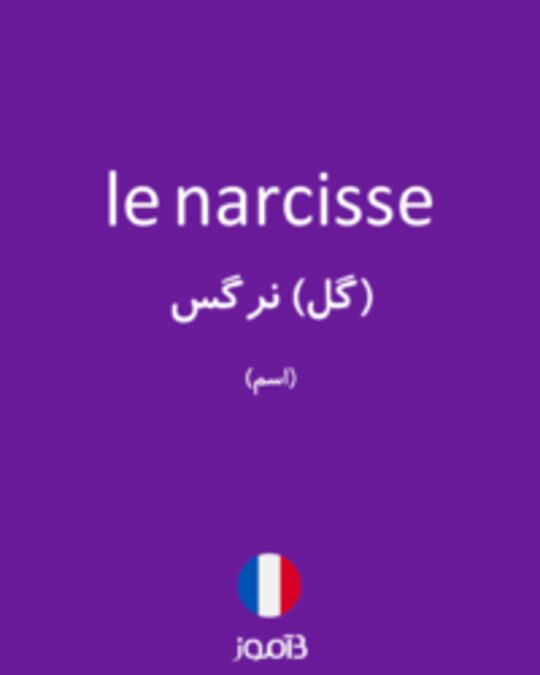  تصویر le narcisse - دیکشنری انگلیسی بیاموز