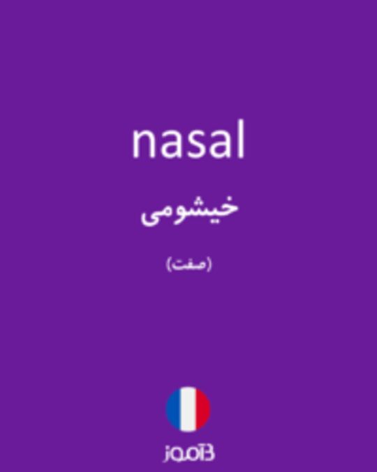  تصویر nasal - دیکشنری انگلیسی بیاموز