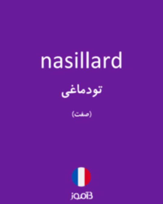  تصویر nasillard - دیکشنری انگلیسی بیاموز