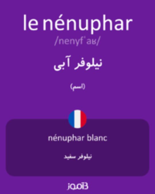  تصویر le nénuphar - دیکشنری انگلیسی بیاموز