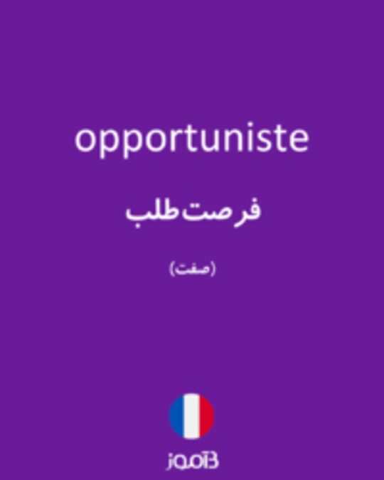  تصویر opportuniste - دیکشنری انگلیسی بیاموز