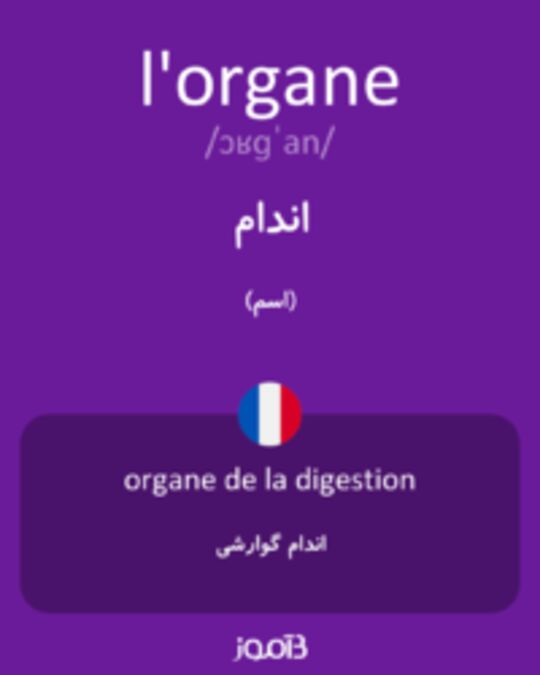  تصویر l'organe - دیکشنری انگلیسی بیاموز