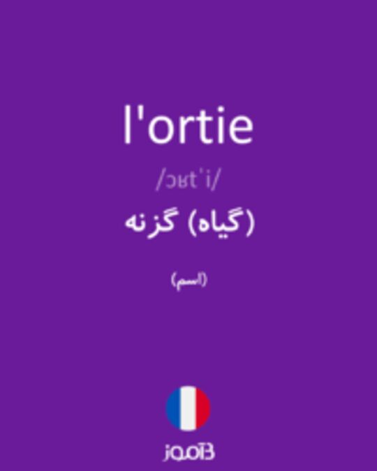  تصویر l'ortie - دیکشنری انگلیسی بیاموز