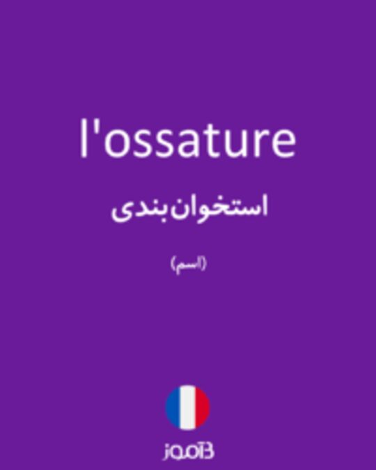  تصویر l'ossature - دیکشنری انگلیسی بیاموز