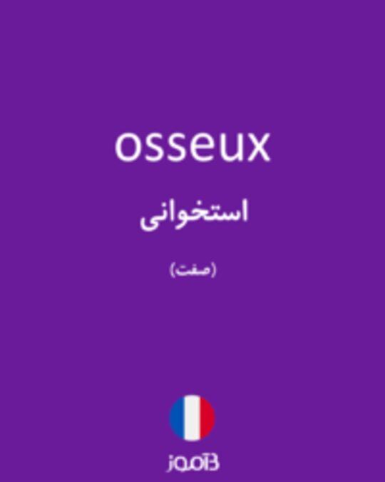  تصویر osseux - دیکشنری انگلیسی بیاموز