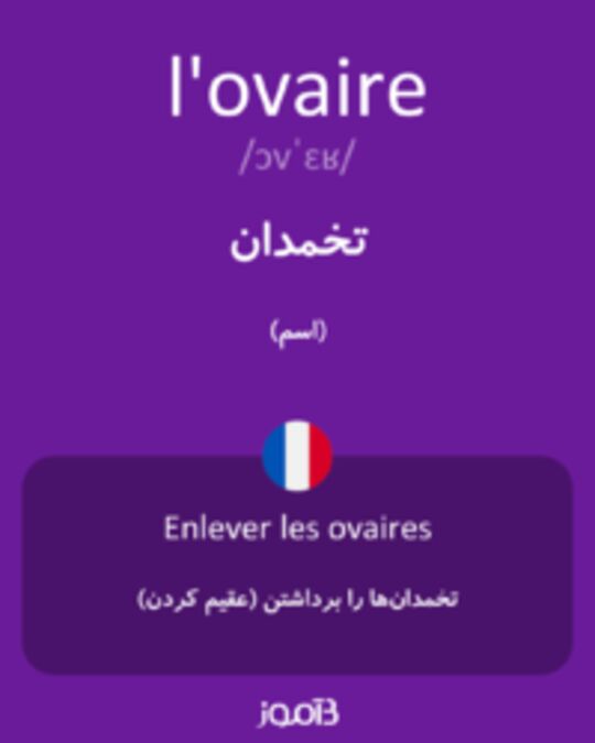  تصویر l'ovaire - دیکشنری انگلیسی بیاموز