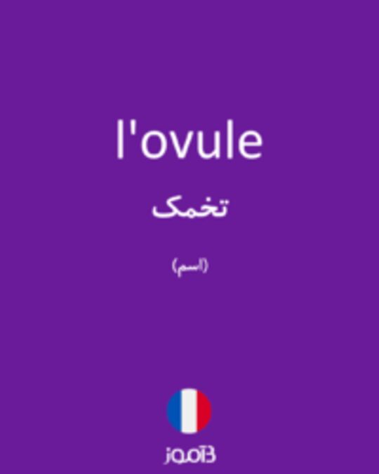  تصویر l'ovule - دیکشنری انگلیسی بیاموز