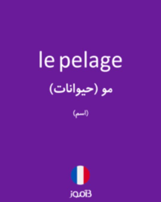  تصویر le pelage - دیکشنری انگلیسی بیاموز